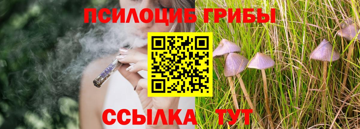 Псилоцибиновые грибы GOLDEN TEACHER Тихвин