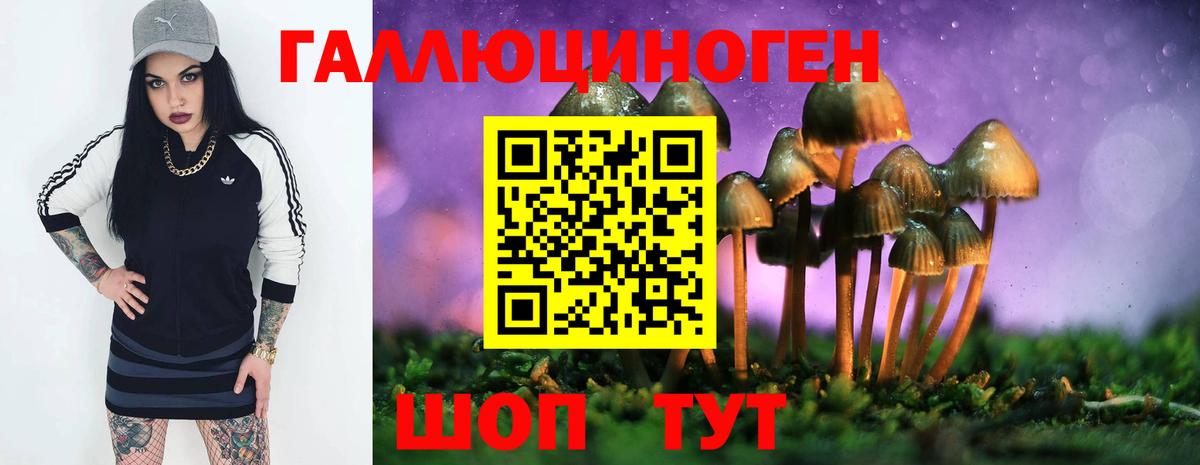 Псилоцибиновые грибы Psilocybine cubensis  Вход с VPN  купить закладку  Тихвин 